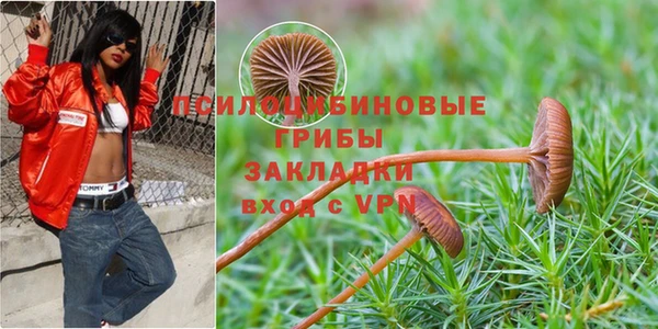 кокаин Алексин