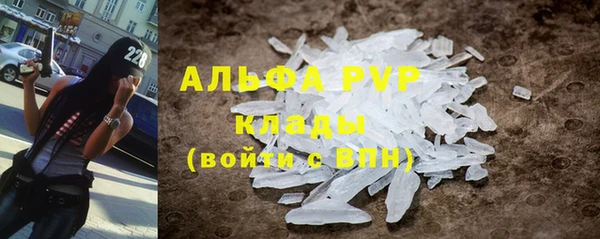 крисы Алзамай
