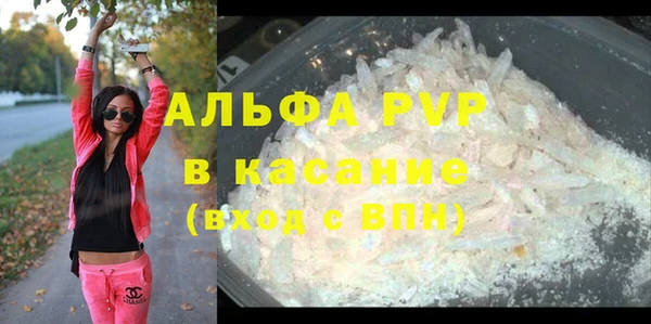 крисы Алзамай