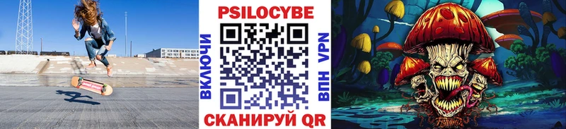 Псилоцибиновые грибы мицелий  купить наркоту  Закаменск 